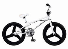 20"freestyle bicycle